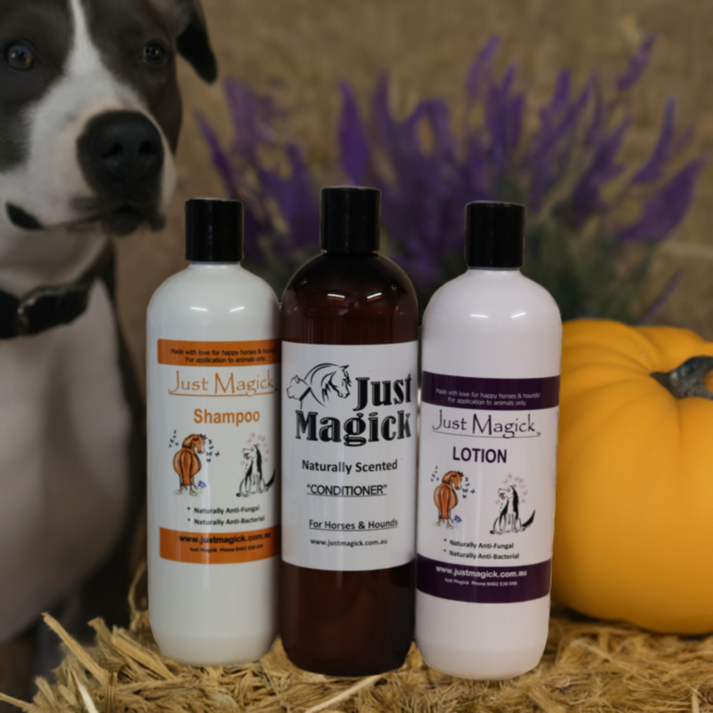 -JUST MAGICK ALL YOU NEED DOG PACK