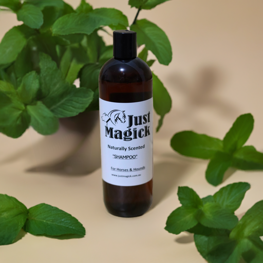 JUST MAGICK PEPPERMINT SHAMPOO FOR HORSES AND DOGS